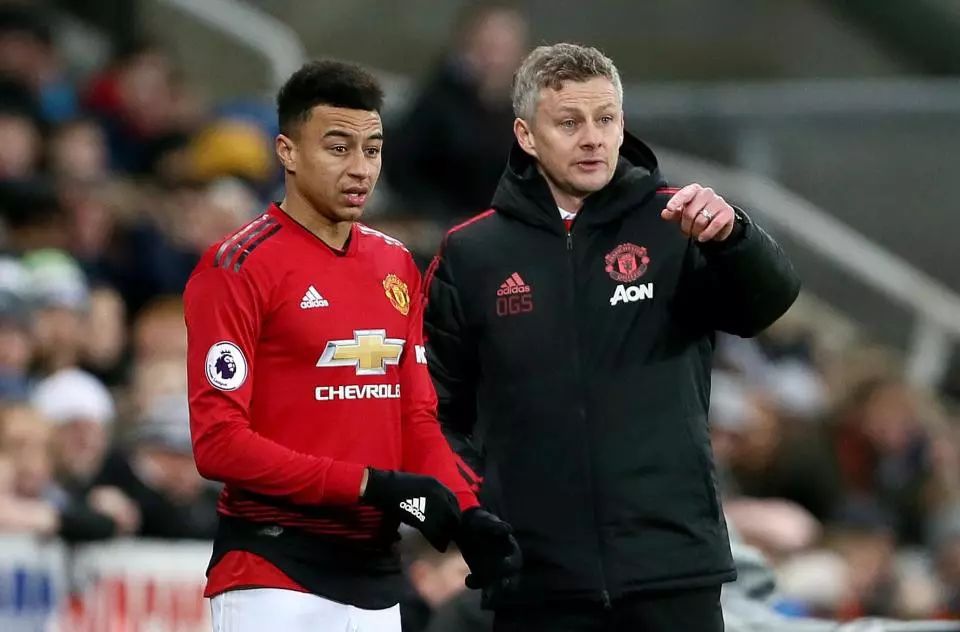 望的开始 望的开始